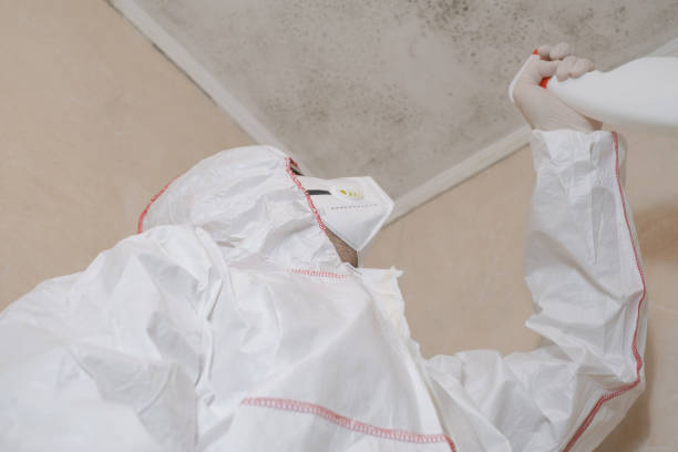 Best Mold Remediation for Specific Building Types in Shannon, GA